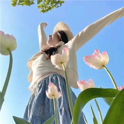 梨花劫粤语