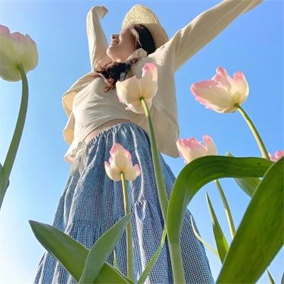 女王蜂游戏